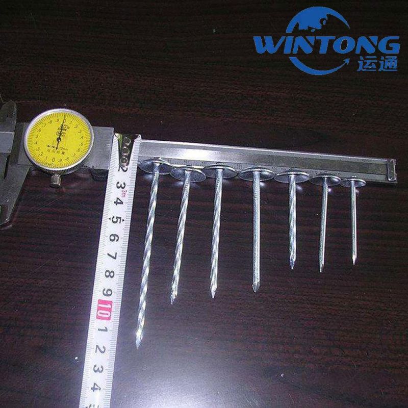 Umbrella Head Roofing Nails/Roofing Nails Galvanized Twisted Shank