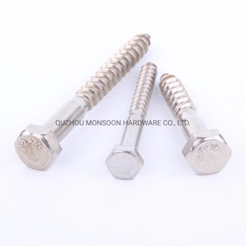 Stainless Steel Hexagonal Head Wood Screws Lag Screw Coach Screw