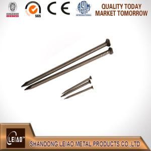 Professional Manufacturer All Sizes of Nails, Factory Price