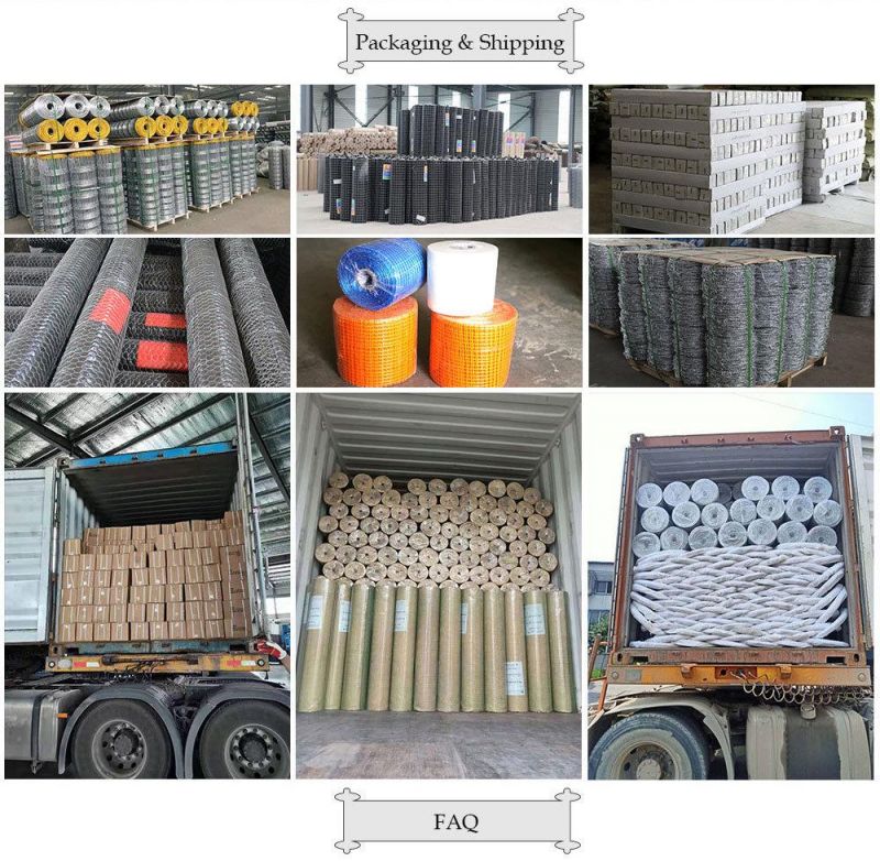Factory OEM Common Galvanized Iron Polished Nail