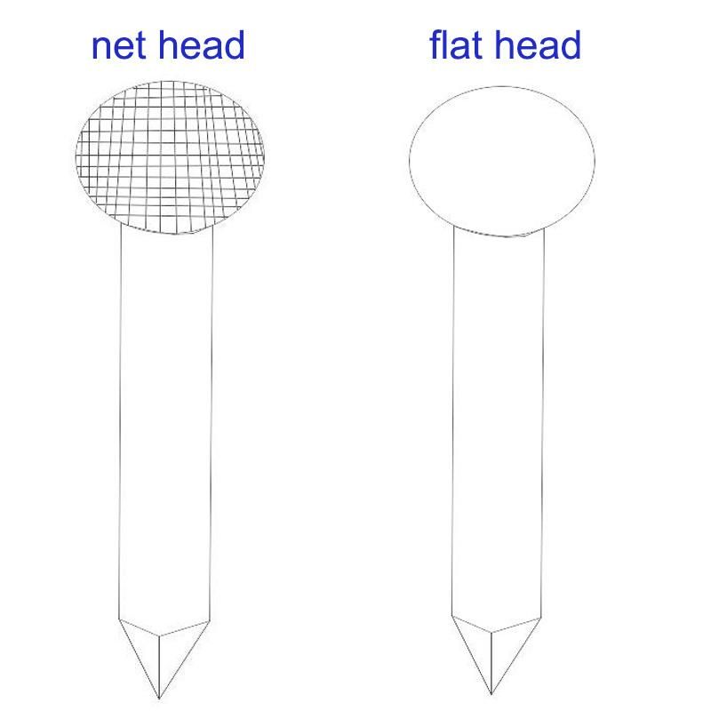 Uniform Cap Size Screw Thread Clear Coil Nails for Wood Pallet