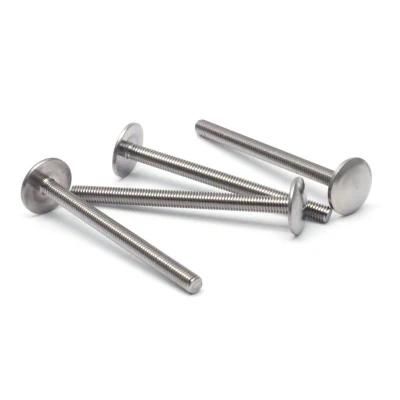 Stainless Steel Special Big Flat Head Non-Standard Custom Machine Screw