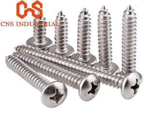 Stainless Steel Phillips Pan Head Self Tapping Screws DIN7981