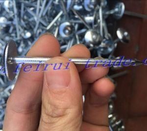 Nigeria Market Roofing Nail Purchasing Agent