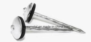 Galvanized Roofing Nails with Rubber Washer