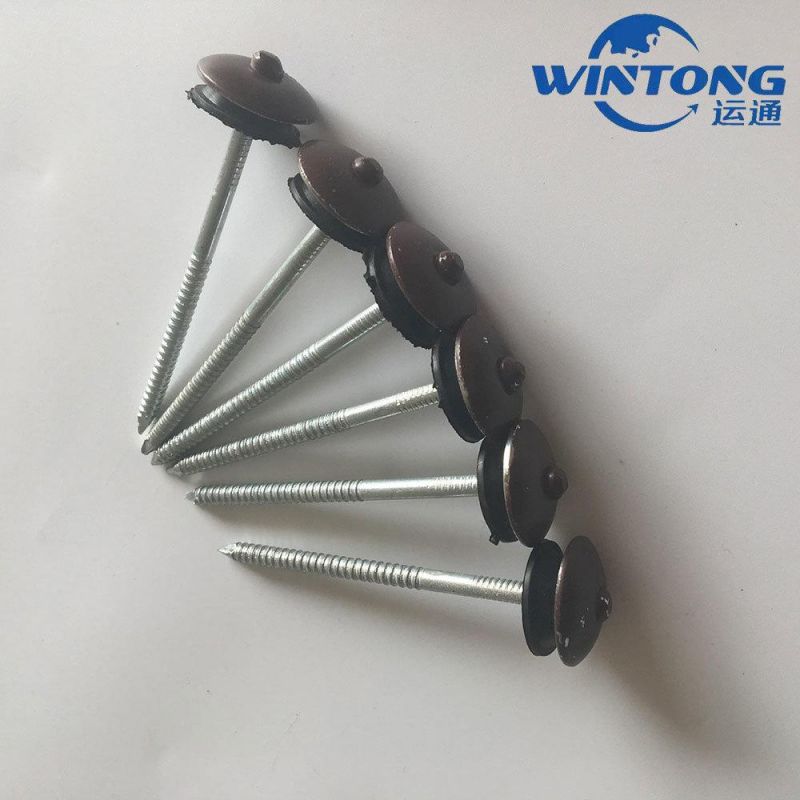 Roofing Nail for Umbrella Tip, Roofing Nail Manufacturing, Roonfing Nail Wholesale
