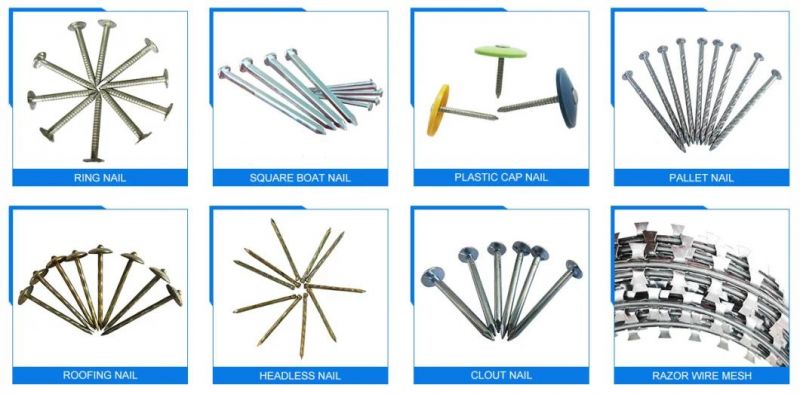 High Quality Flat Bottom Hat China Factory Polished Galvanized Building Furniture Common Round Big Head Clout Nail