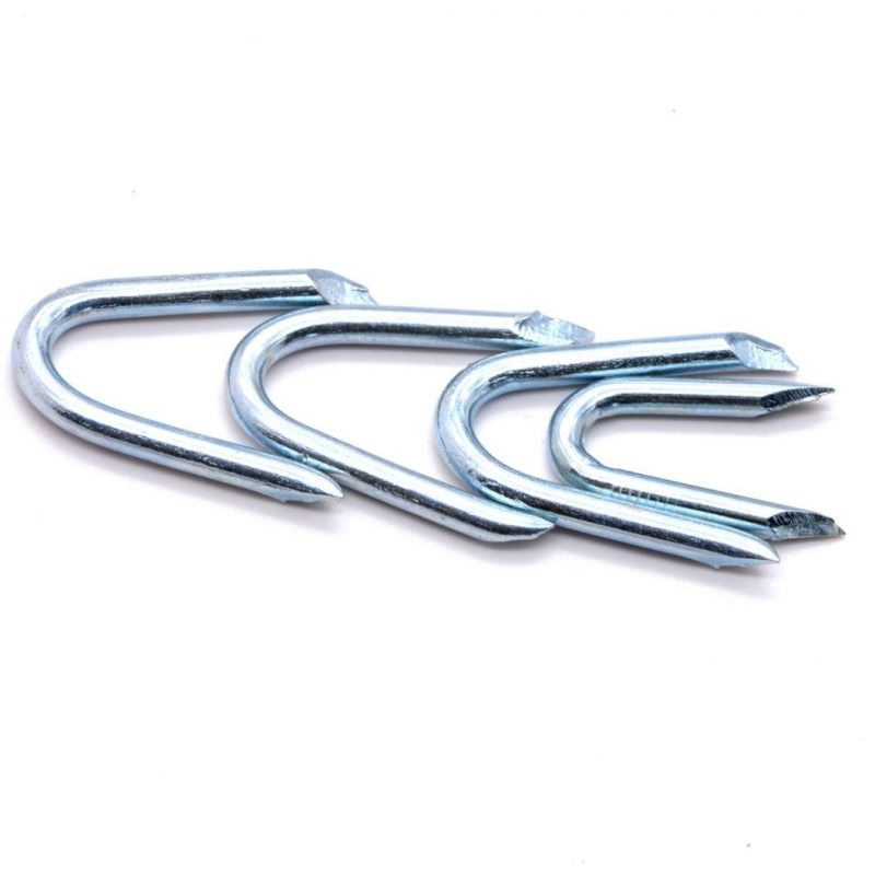 Export Standard Barbed U Shape Iron Wire Nail Common Diamond Sharp U Type Nail