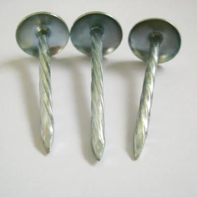 High Quality Electro Galvanized Steel Construction Umbrella Head Nails for Building