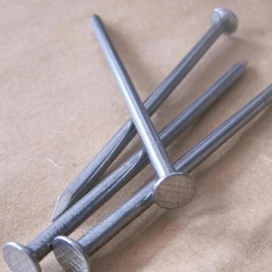 Low Price Factory Building Wire Nails Wood Nails for Construction
