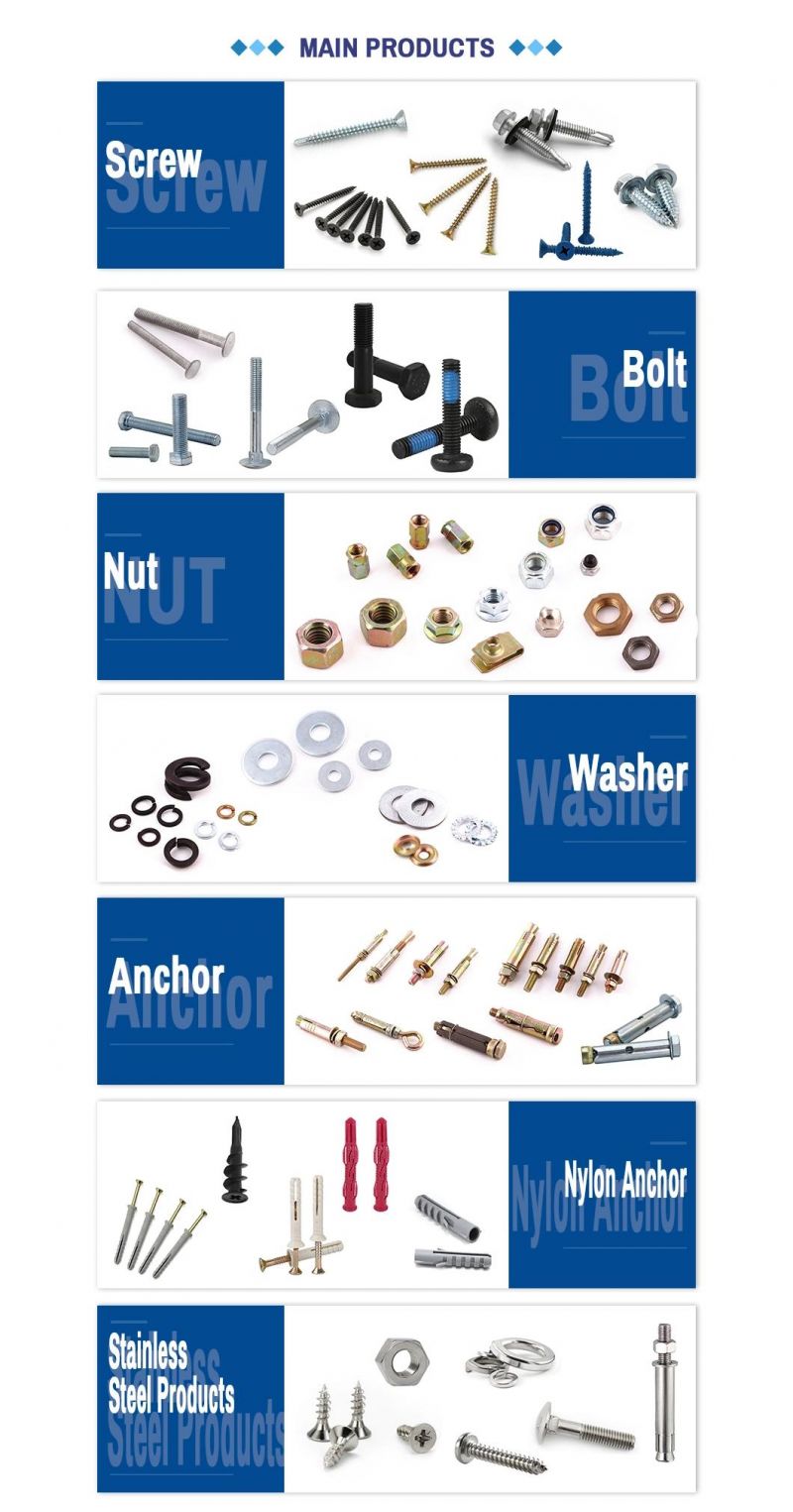 DIN; ANSI; JIS; BS; GB Carbon Steel Concrete Fixing Screw