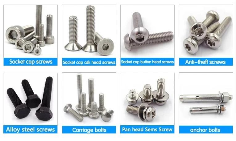 Stainless Steel A2 A4 316L Hex Bolt with Hex Nut