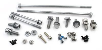 All Kinds of Customized Stainless Steel/Carbon Steel/Copper/Aluminum Screws