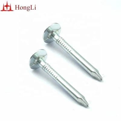 38mm Clout Head Roofing Nails Flat Head Hot Sale in America Market