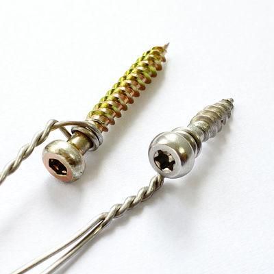 Stainless Steel Wire Customized Pan Head Torx Self-Tapping Screws for Fences