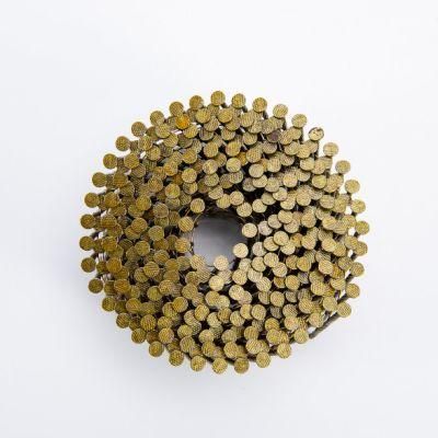 Top Grade 2.9*75mm Nails in Roll Good Quality Coil Nails