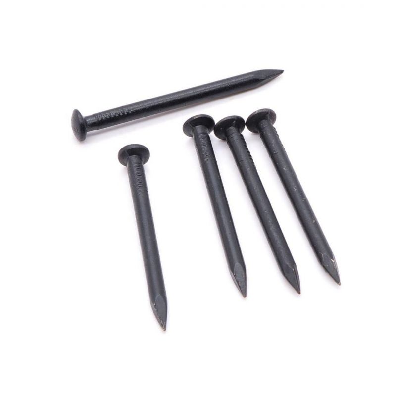 Professional Low Price Concrete Nails Stainless Steel Magnetic Concrete Nail