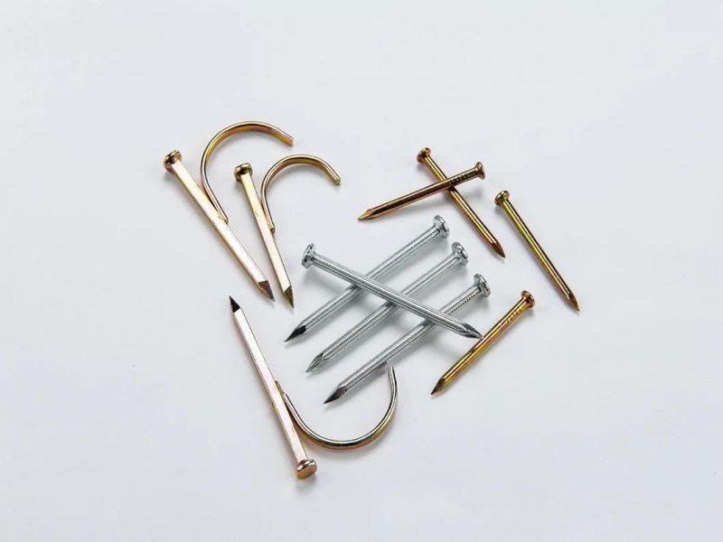 Steel Concrete Nails (2-1/2") with Competitive Prices in China