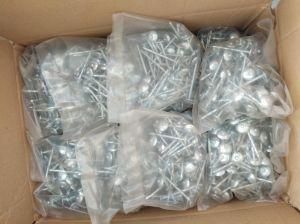 Factory Direct Galvanzied Roofing Nail with Umbrella Head