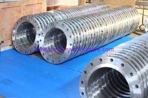Steel Flanges, Weld Neck Flanges / ASTM a 182 Stainless Steel Wnrf Flanges ASTM a 182, Gr F1, F11, F22, F5, F9, F9