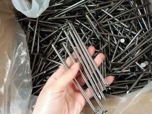 Building Use Common Iron Wire Nail