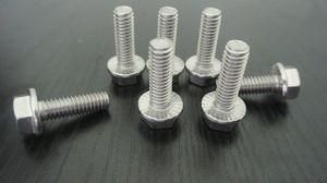 Hex Flange Screw with Serration in 304 Stainless