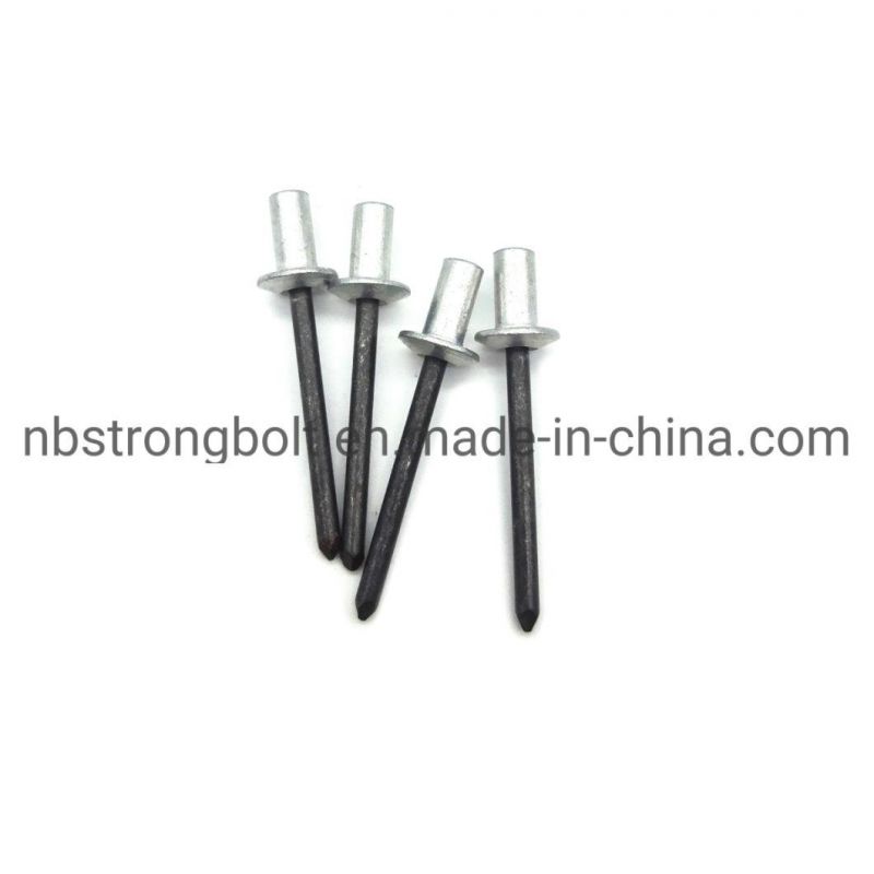 Enclosed Type Aluminum/ Steel Counter Sunk Head Blind Rivet
