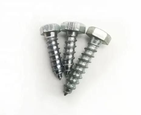 Hex Head Lag Wood Screw DIN571 Screw