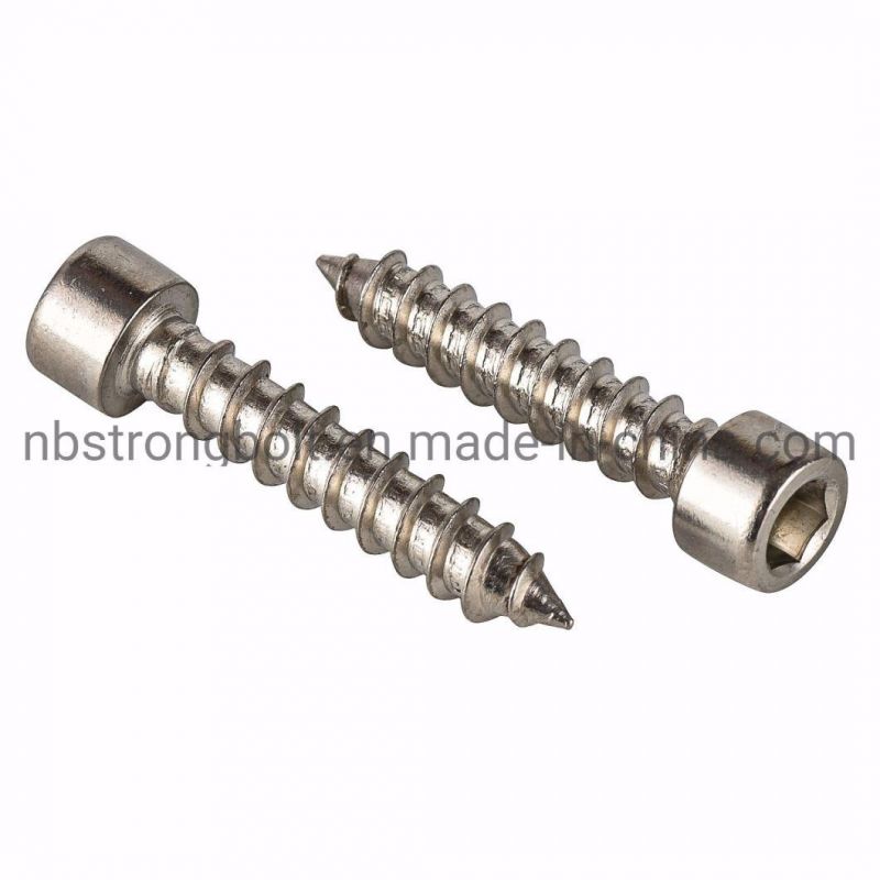 Self Tapping Screw/Hexagon Socket Cap Screw