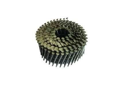 Best Quality Special Stainless Nail Coil Nail with Cheapest Price
