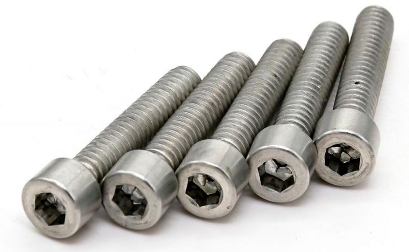 Round SS304 SS316 M8 M16*100mm Hex Socket Bolt