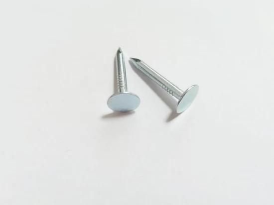 High Quality Harden Electric Galvanized Clout Nail