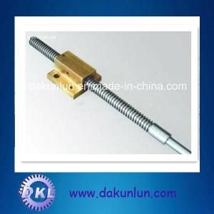 High Precision Worm Wheel and Screw on Shaft