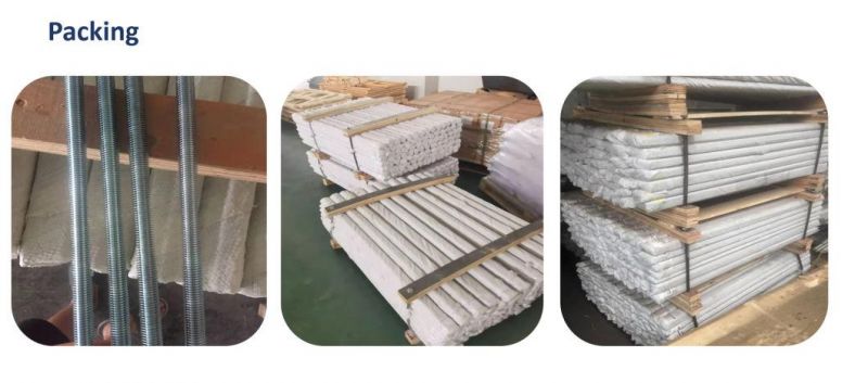 China Threaded Rod Factory Carbon Steel/Stainless Steel DIN975 DIN976 ANSI ASTM Thread Rod with Hex Nut/Threaded Bar/Thread Bar/Stud Bolts Grade A193 B7