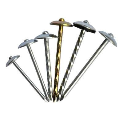 Galvanized Wire Nails for Concrete/Umbrella Roofing Nails