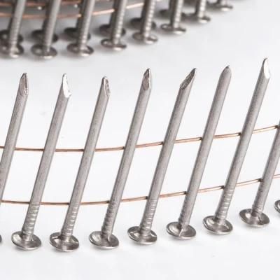 Zinc Coated Stainless Steel Coil Nails Manufacturer