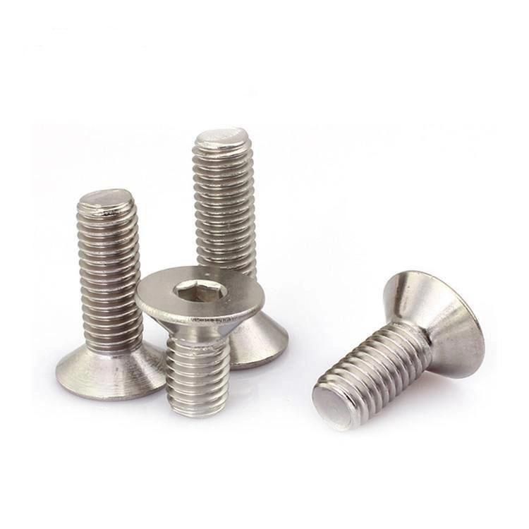 Stainless Steel Pan Head Csk Head Customized Head Machine Screws and Bolts