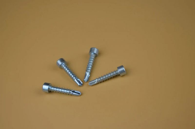 Self Tapping Screw