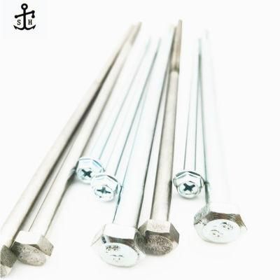 Customized Stainless Steel Solar Ground Machine Extra Long Screws Bolts Made in China
