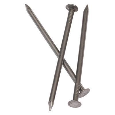 Q195 3/4&quot; to 6&quot; Harden Good Quanlity Polished Nail/Galvanized Iron Nail/ Wire Nail/Wooden Nail/Roofing Nail/Concrete Nail for Construction