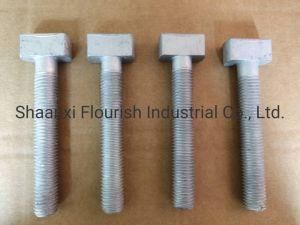 Carbon Steel Gr. 4.8 Customized HDG. Full Thread T Bolt and Nuts
