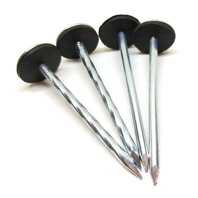 South Africa Nigeria Angola Zambia Namibia Market/Galvanized Roofing Nails with Umbrella Head