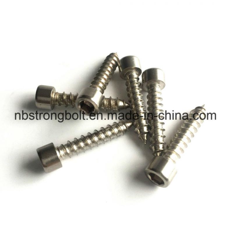 Self Tapping Screw/Hexagon Socket Cap Screw