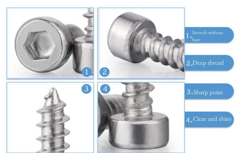 Stainless Steel Allen Hex Socket Cap Head Self Tapping Screws