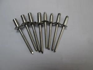 Auot Hardware Steel /Iron Blind Rivet