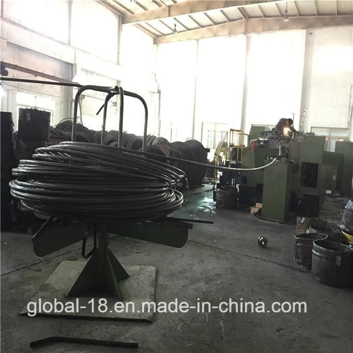Coil Nails Manufacture with Best Price