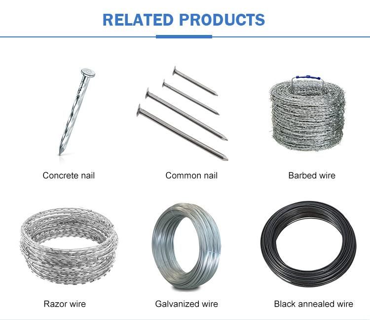 Blue Zinc Coated Electro Galvanized Umbrella Head Roofing Nails