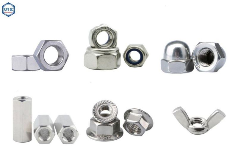 Stainless Steel A2 A4 DIN934 DIN985 Hex Nuts/Hex Flange Nut /Nylon Lock Nut /Cap Nut/ Wing Nut/Coupling Nut/Cage Nut/Brass /Copper Hex Nuts/Spring Nuts