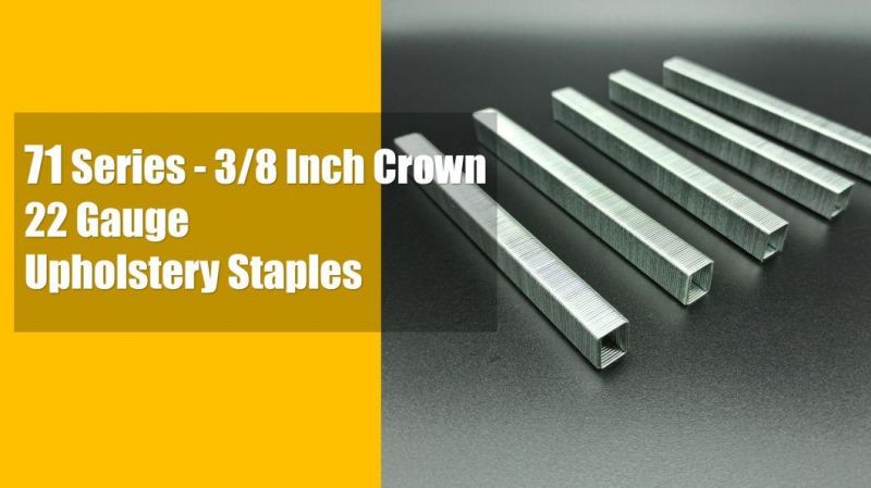 22ga Galvanized 71/3.5mm Upholstery Staples with Good Quality