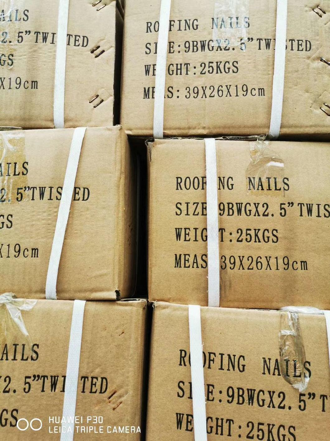 Galvanized Roofing Nails with Color Gasket Factory Price From China Dezhou City